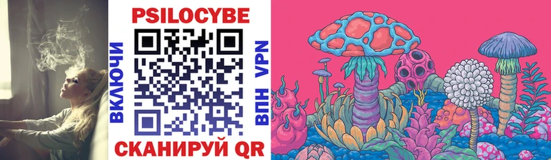 Псилоцибиновые грибы Cubensis  Амурск 